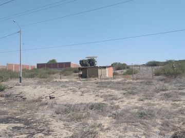 VENTA DE TERRENO - LA MARIPOSA - PIURA.
