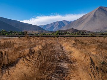 Parcelas con electricidad y agua, sector Mamalluca (Vicuña), 5.000 m2, Valle del Elqui. $85 millones