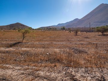 Parcelas con electricidad y agua, sector Mamalluca (Vicuña), 5.000 m2, Valle del Elqui. $85 millones