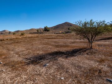 Parcelas con electricidad y agua, sector Mamalluca (Vicuña), 5.000 m2, Valle del Elqui. $85 millones