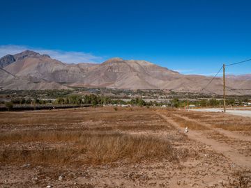 Parcelas con electricidad y agua, sector Mamalluca (Vicuña), 5.000 m2, Valle del Elqui. $85 millones