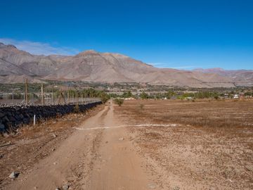 Parcelas con electricidad y agua, sector Mamalluca (Vicuña), 5.000 m2, Valle del Elqui. $85 millones