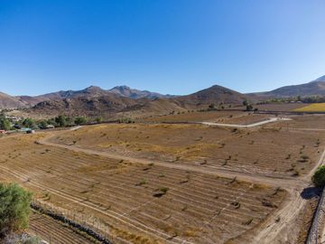 Parcelas con electricidad y agua, sector Mamalluca (Vicuña), 5.000 m2, Valle del Elqui. $85 millones