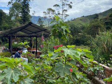 Venta Hacienda Casa De Campo En Pallatanga