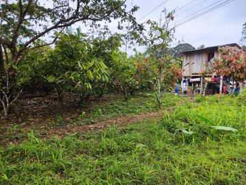 Vendo Finca de 29 Ha en Muisne en 