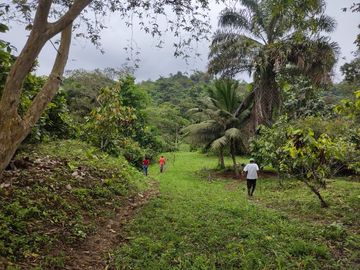 Vendo Finca de 29 Ha en Muisne en 
