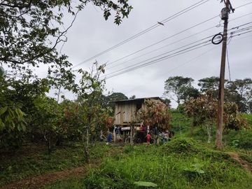 Vendo Finca de 29 Ha en Muisne en 