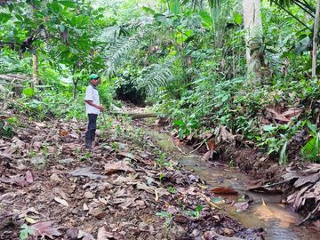 Vendo Finca de 29 Ha en Muisne en 