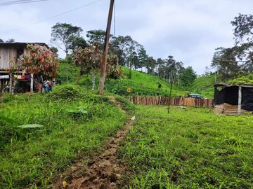 Vendo Finca de 29 Ha en Muisne en 