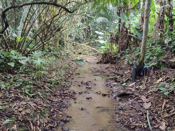 Vendo Finca de 29 Ha en Muisne en 