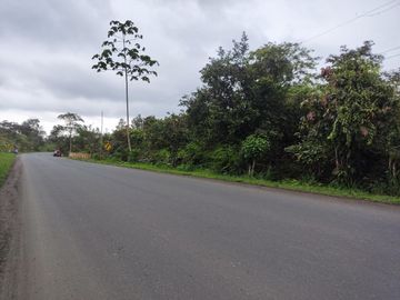 Vendo Finca de 29 Ha en Muisne en 