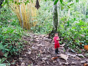 Vendo Finca de 29 Ha en Muisne en 