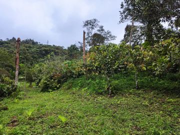 Vendo Finca de 29 Ha en Muisne en 