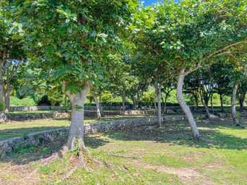 Lot For sale in Playa Calatagan Batangas