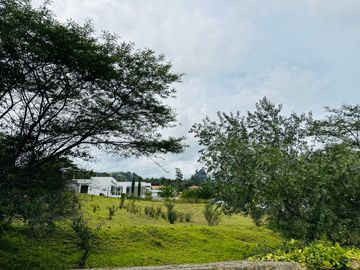 HERMOSOS TERRENOS  PLANOS EN PAMPA VINTIMILLA