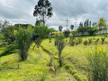 HERMOSOS TERRENOS  PLANOS EN PAMPA VINTIMILLA