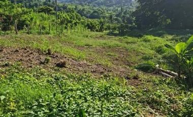 12,922 Sqm Farm Lot for Sale in Tagaytay Near Crosswinds