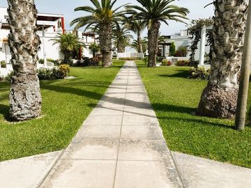 ¡Vive en un oasis de áreas verdes y tranquilidad en Condominio Costa del sol - Asia! ☀️