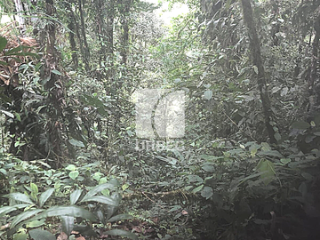 VENTA- HERMOSA FINCA DE VENTA EN EL SECTOR DE PACTO A 3 HORAS DE QUITO IDEAL PARA PROYECTOS TURISTICOS/23URB061