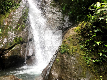 VENTA- HERMOSA FINCA DE VENTA EN EL SECTOR DE PACTO A 3 HORAS DE QUITO IDEAL PARA PROYECTOS TURISTICOS/23URB061