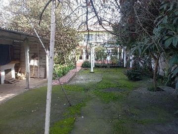 Casa Central  En Curicó,  V 1385-365-LR-06.22