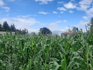 CHECA, vendo terreno 1.500m, con casa y local comercial, servicios básicos