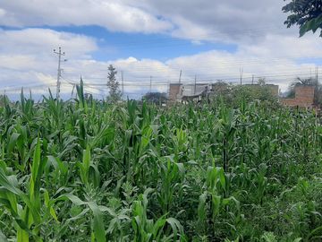 CHECA, vendo terreno 1.500m, con casa y local comercial, servicios básicos