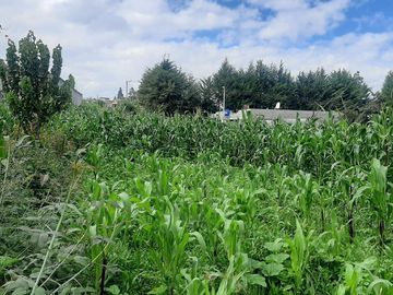 CHECA, vendo terreno 1.500m, con casa y local comercial, servicios básicos