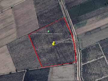 VENDO TERRENO AGRICOLA 3.2018 HA, MANZANA EN PRODUCCION - NUEVO IMPERIAL CAÑETE