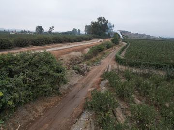 VENDO TERRENO AGRICOLA 3.2018 HA, MANZANA EN PRODUCCION - NUEVO IMPERIAL CAÑETE