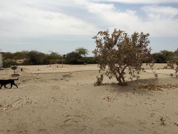 VENTA DE LOTES PARA CASAS DE CAMPO