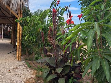 VILLAMIL PLAYAS FINCAS COLINAS DEL PACIFICO VENDO HOSTAL EN FUNCIONAMIENTO