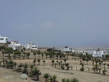 LOTES EN CONDOMINIO MAR Y BOSQUES