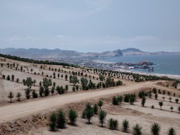 LOTES EN CONDOMINIO MAR Y BOSQUES
