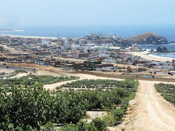 LOTES EN CONDOMINIO MAR Y BOSQUES