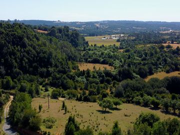 Campo en venta en Los Muermos a 55 minutos de Puerto Varas con abundante agua