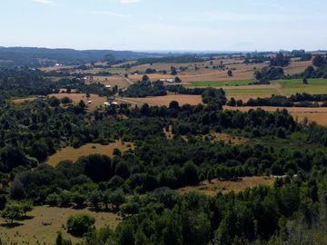 Campo en venta en Los Muermos a 55 minutos de Puerto Varas con abundante agua