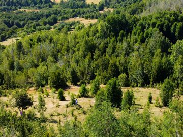 Campo en venta en Los Muermos a 55 minutos de Puerto Varas con abundante agua