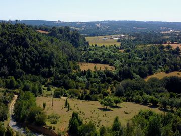 Campo en venta en Los Muermos a 55 minutos de Puerto Varas con abundante agua