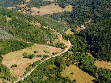 Campo en venta en Los Muermos a 55 minutos de Puerto Varas con abundante agua