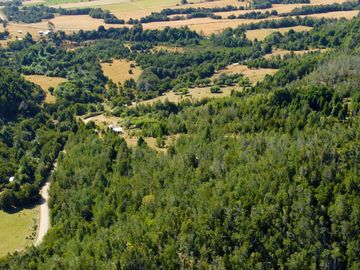 Campo en venta en Los Muermos a 55 minutos de Puerto Varas con abundante agua