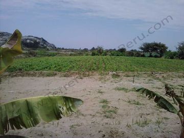 Terreno en La Libertad Agricola y Pecuario EX Establo Lechero – 10,000 m2