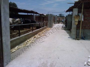 Terreno en La Libertad Agricola y Pecuario EX Establo Lechero – 10,000 m2