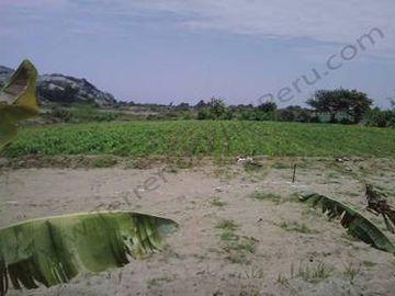 Terreno en La Libertad Agricola y Pecuario EX Establo Lechero – 10,000 m2