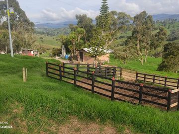 Venta Finca Lechera y Ganadera Yarumal Antioquia