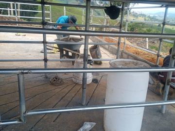 Venta Finca Lechera y Ganadera Yarumal Antioquia