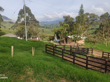 Venta Finca Lechera y Ganadera Yarumal Antioquia