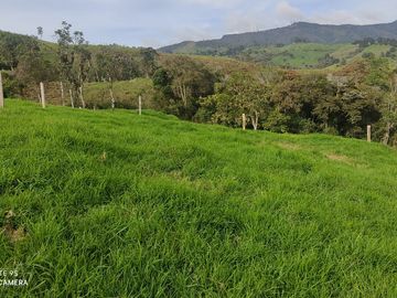 Venta Finca Lechera y Ganadera Yarumal Antioquia