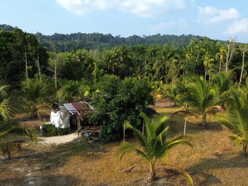 5.5 Rai Coconut Plantation with Scenic Mountain Views Land for Sale in Khokkloy, Phangnga