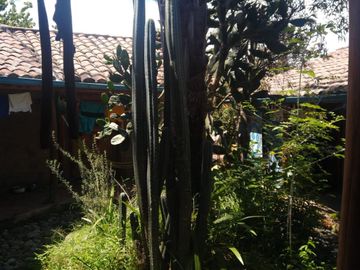 Vendo casa rustica en Tumbaco, sector Arenal
